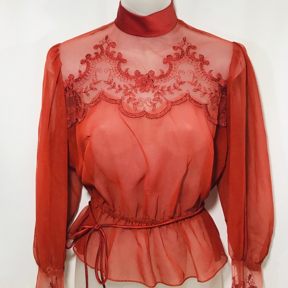 Vintage Burnt Orange Sheer Embroidered Tie Top - Picture 2 of 9